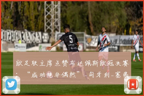 欧足联主席点赞布达佩斯欧冠决赛:“成功绝非偶然”_匈牙利_塞弗林_赛事
