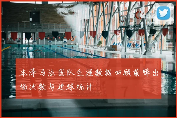 本泽马法国队生涯数据回顾前锋出场次数与进球统计