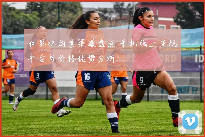 世界杯购票渠道盘点 手机线上正规平台与价格优势分析