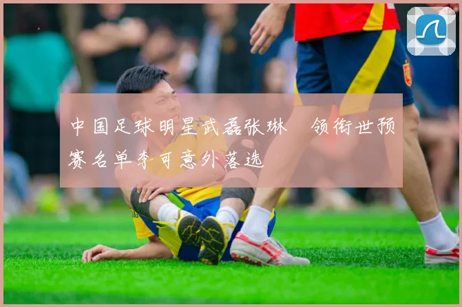 中国足球明星武磊张琳芃领衔世预赛名单李可意外落选