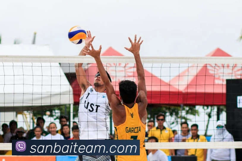 App Interface Preview